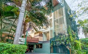 The Palm Hotel